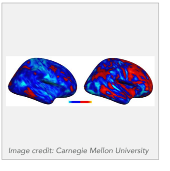 brain patterns in autism