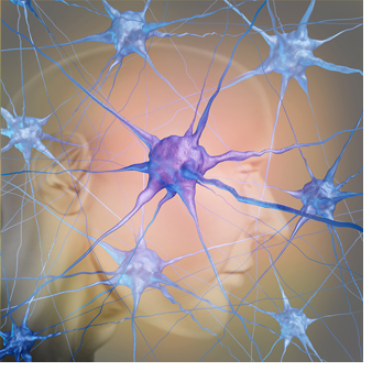 schizophrenia and dopamine neurons